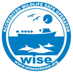 xwise-scheme-logo-01-400x400.png.pagespeed.ic.mSM_7FHQUP